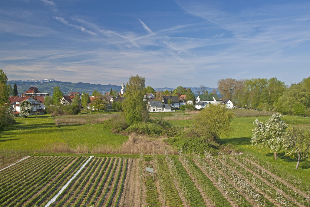 Hotel-Restaurant Walserhof วัสเซอร์บูร์ก ภายนอก รูปภาพ
